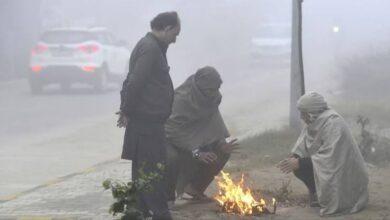 MP Weather Today