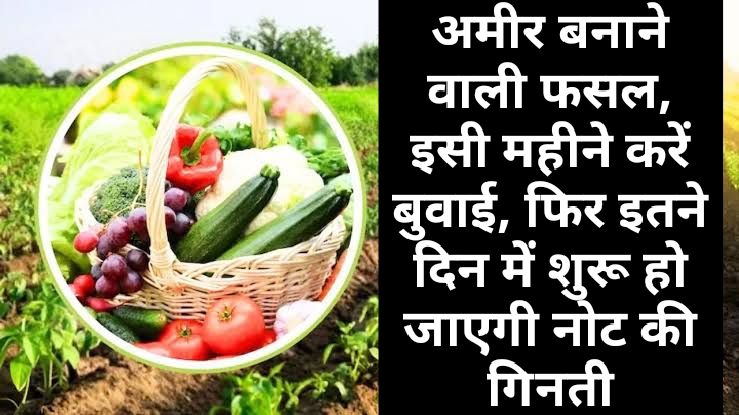 Vegetables Farming