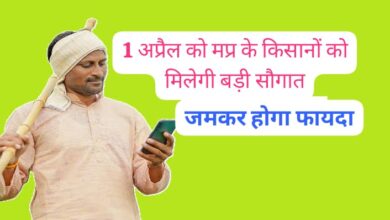 MP News
