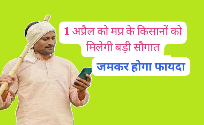 MP News