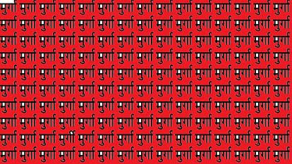 Optical Illusion