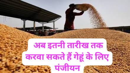 MP News