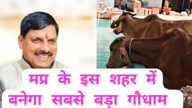 MP News