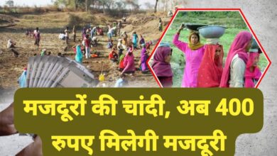 Manrega Daily Wage