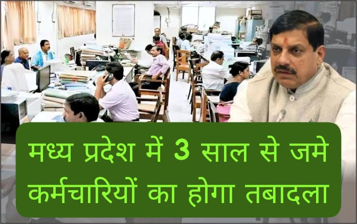 MP News
