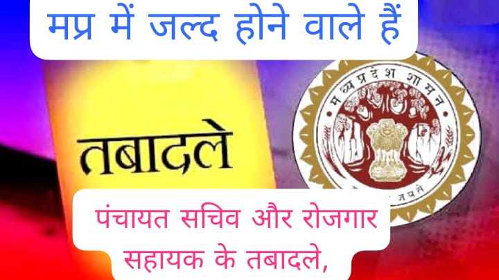 MP News