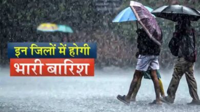 MP Weather Alert
