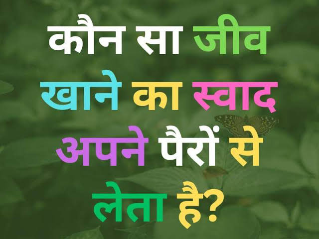 GK Quiz Hindi
