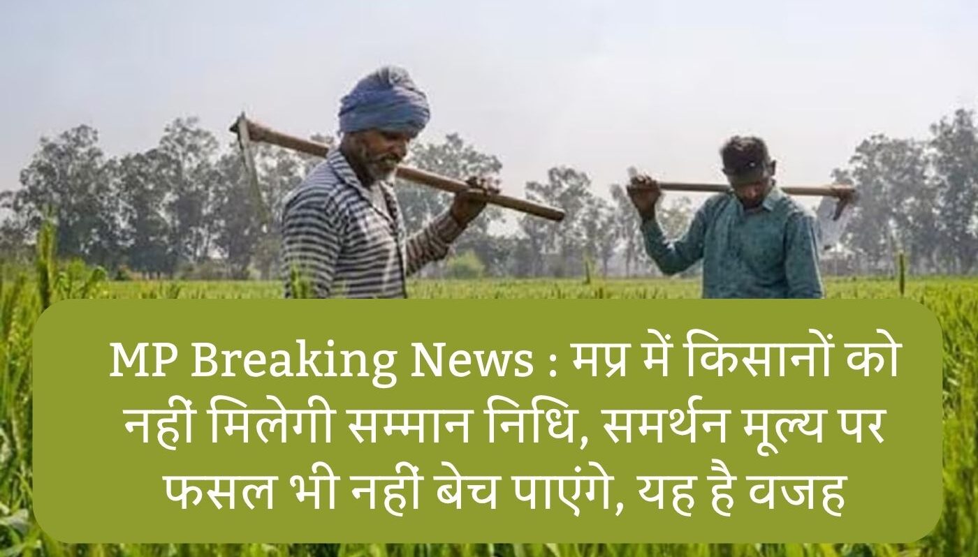 MP Breaking News : मप्र में किसानों को नहीं मिलेगी सम्मान निधि, समर्थन मूल्य पर फसल भी नहीं बेच पाएंगे, यह है वजह