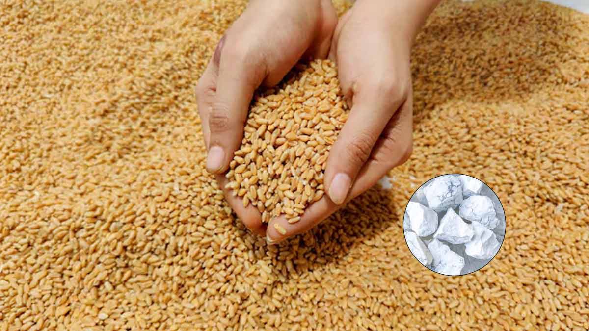 Grain Storage Tips